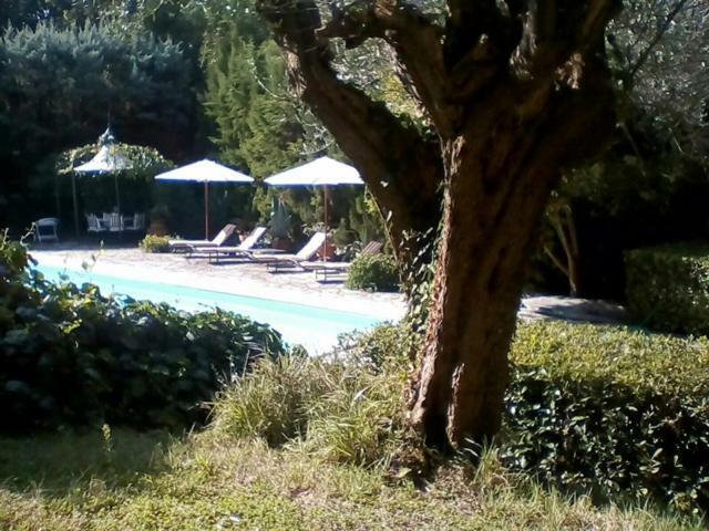 Villa Dall Acqua Pesaro Exteriör bild