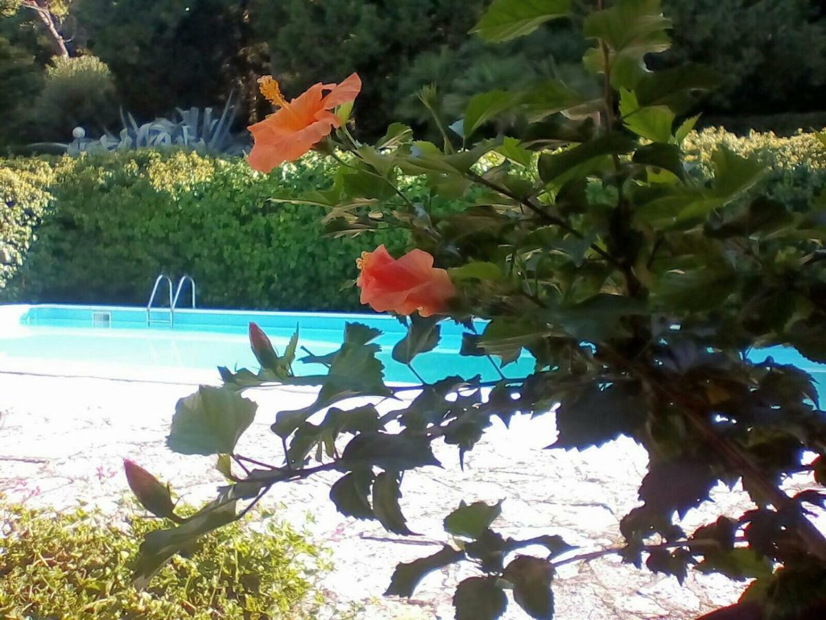 Villa Dall Acqua Pesaro Exteriör bild